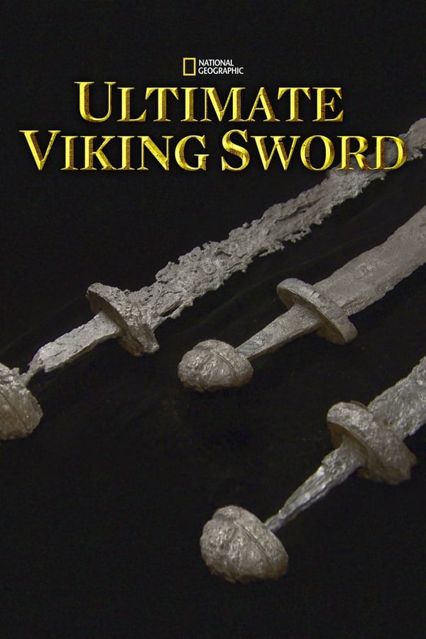 Zerone IPTV Pro PL - ULTIMATE VIKING SWORD (2019) DOKUMENT