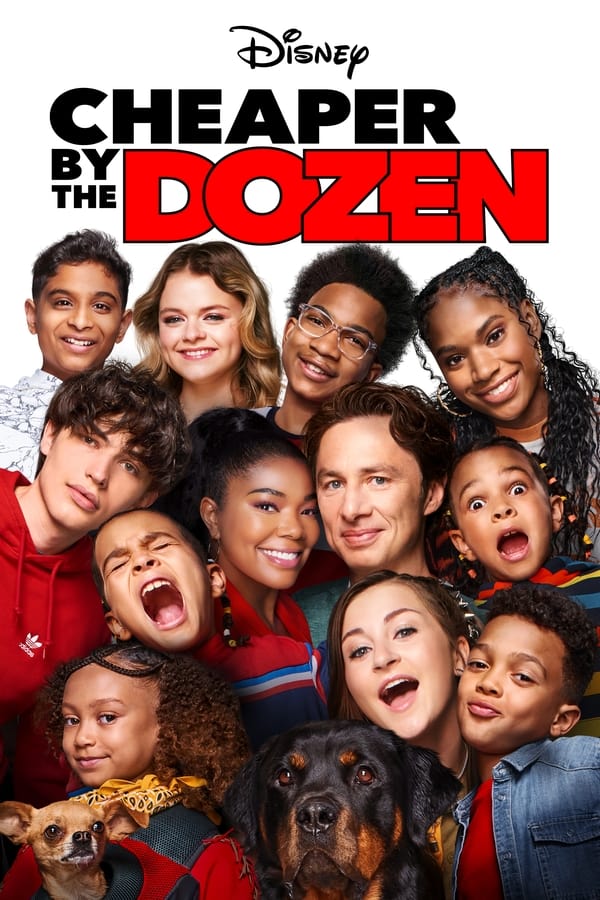 Zerone IPTV Pro EN - Cheaper by the Dozen  (2022)