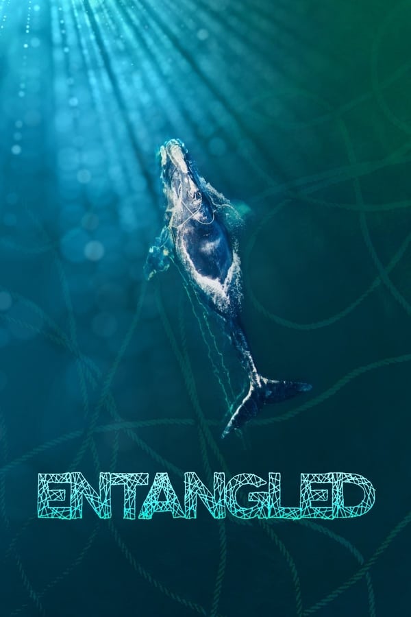 Zerone IPTV Pro EN - Entangled: The Race to Save Right Whales from Extinction  (2020)