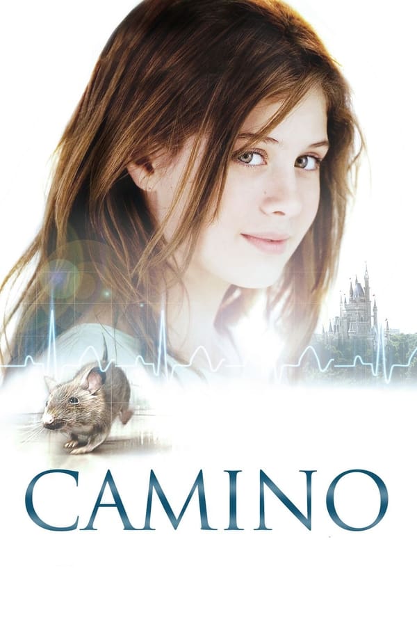 Zerone IPTV Pro NL - Camino (2008)