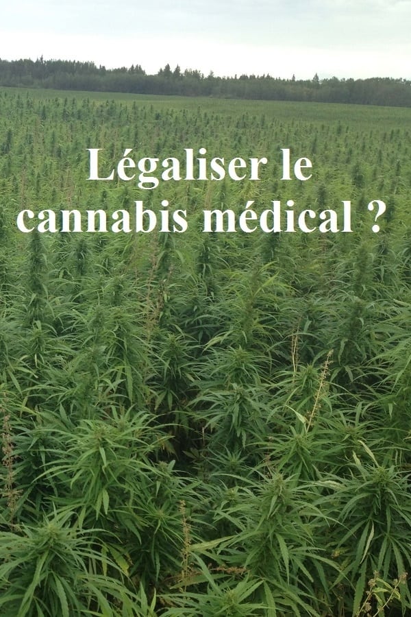 Zerone IPTV Pro FR - Légaliser le cannabis médical ?  (2021)