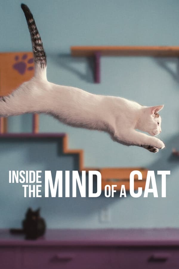 Zerone IPTV Pro EN - Inside the Mind of a Cat  (2022)