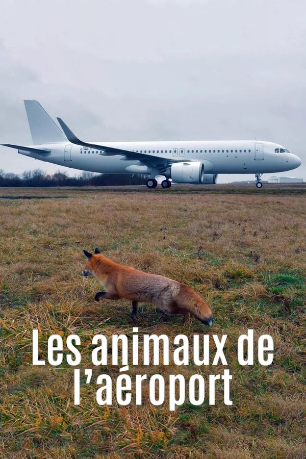 Zerone IPTV Pro FR - Airport Animal Stories (2023)