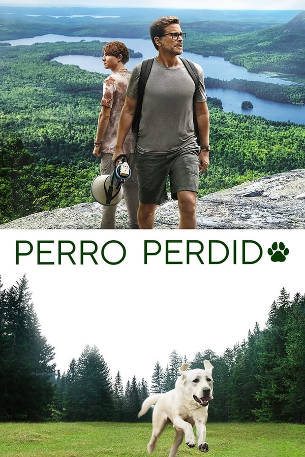 Zerone IPTV Pro LAT - Perro perdido (2023)