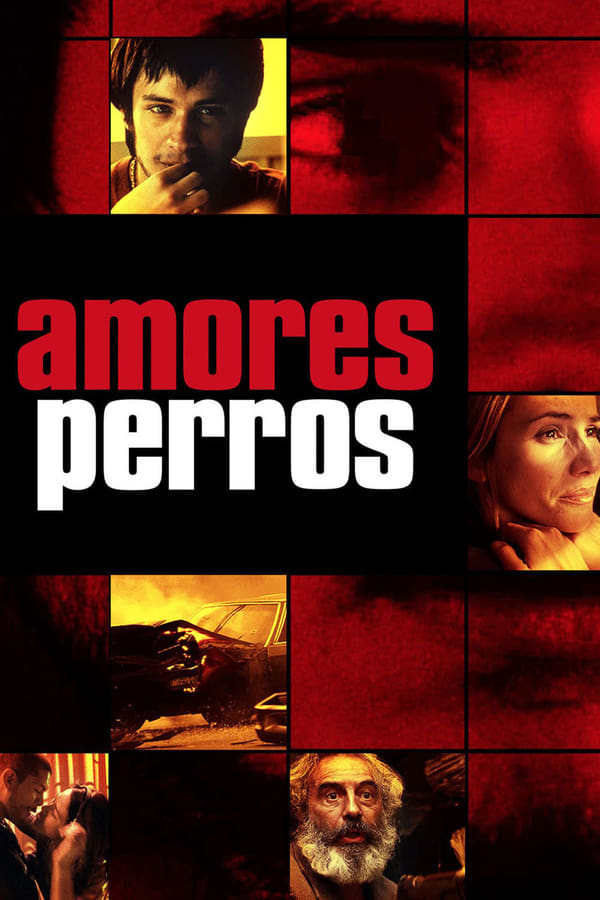 Zerone IPTV Pro TOP - Amores Perros  (2000)