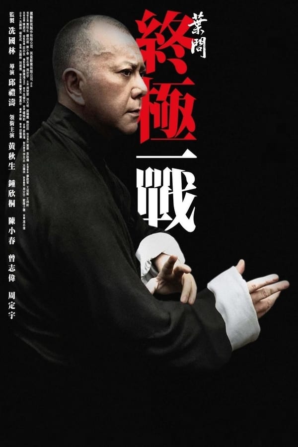 Zerone IPTV Pro PL - IP MAN - OSTATNIA WALKA (2013)