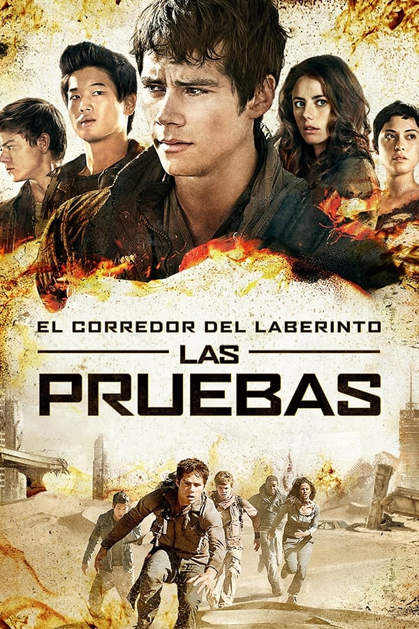 Zerone IPTV Pro ES - El corredor del laberinto: Las pruebas  (2015)