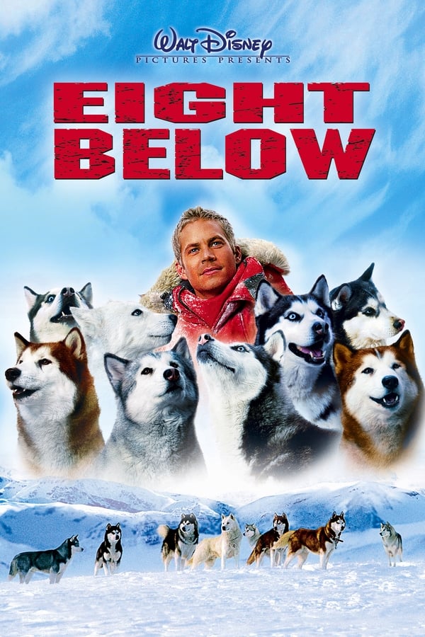 Zerone IPTV Pro AL - Eight Below  (2006)