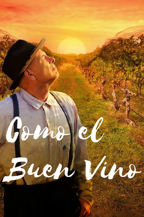 Zerone IPTV Pro ES - Como el buen vino (2019)