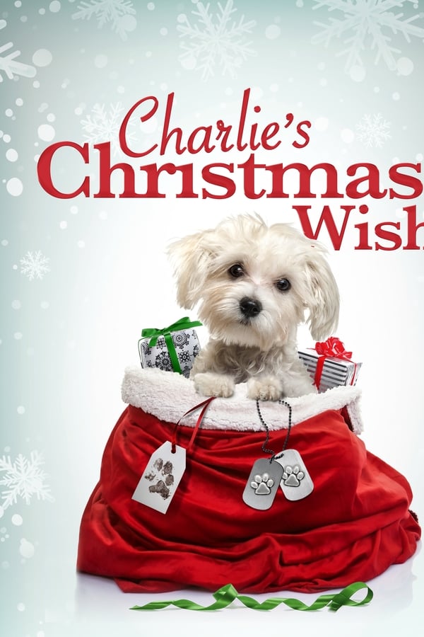 Zerone IPTV Pro EN - Charlie's Christmas Wish  (2020)