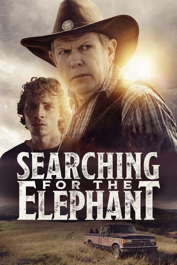 Zerone IPTV Pro EN - Searching for the Elephant (2024)