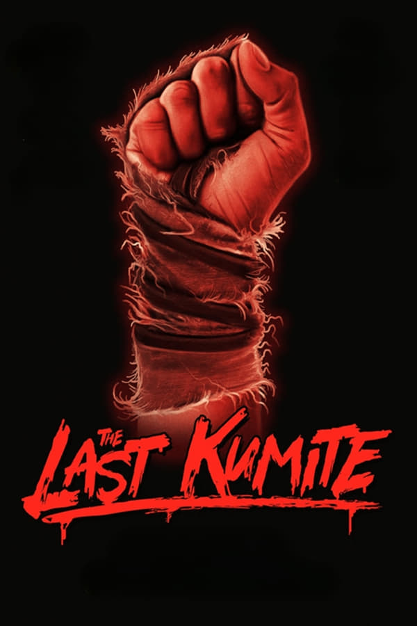 Zerone IPTV Pro EN - The Last Kumite (2024)