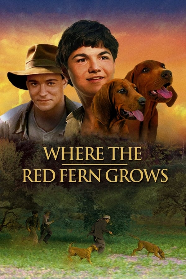 Zerone IPTV Pro BG - Where the Red Fern Grows (2003)