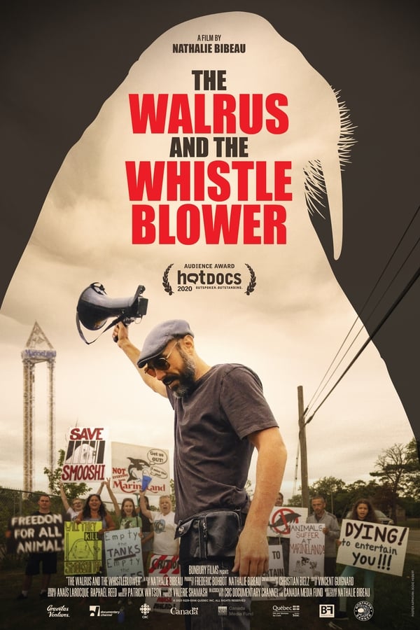 Zerone IPTV Pro EN - The Walrus and the Whistleblower  (2020)